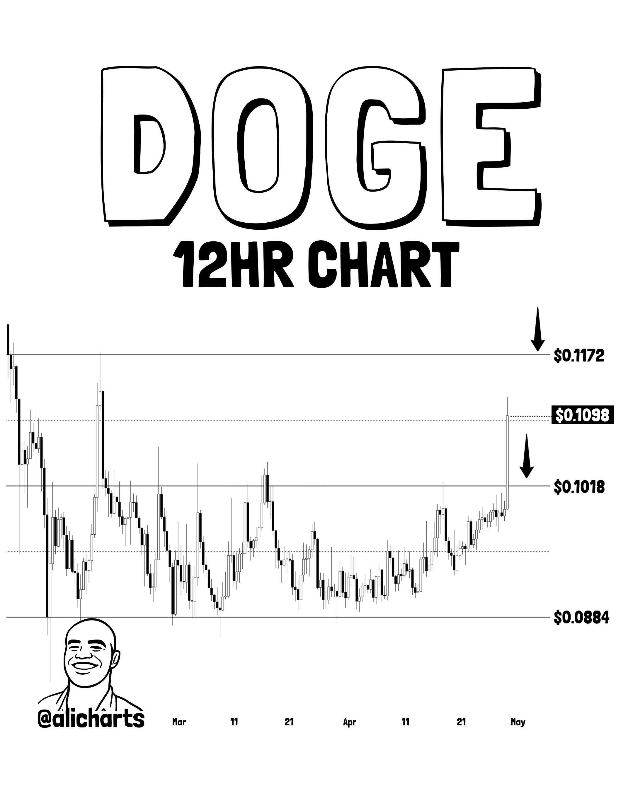 Canal Paralelo de Dogecoin