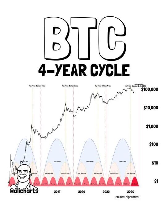 The analyst expects Bitcoin to form a cycle bottom between October 6 and 16, 2026