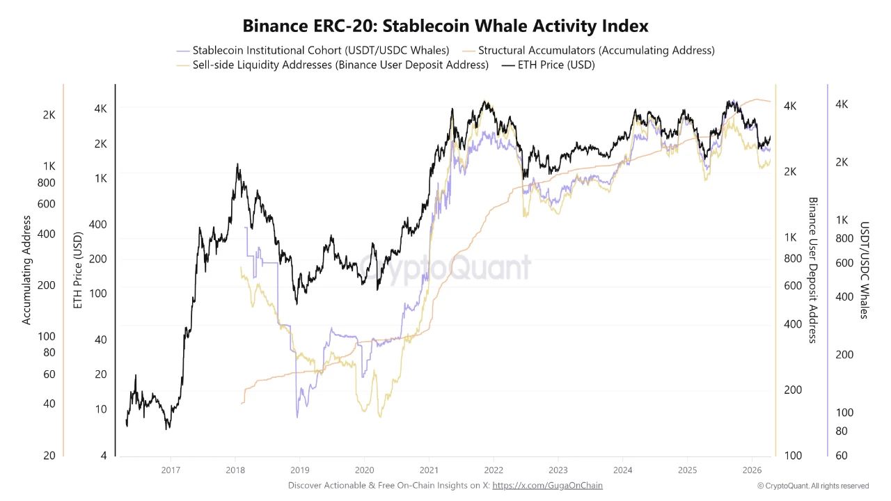 Binance ERC-20 Stablecoin Whale Activity Index | Source: CryptoQuant