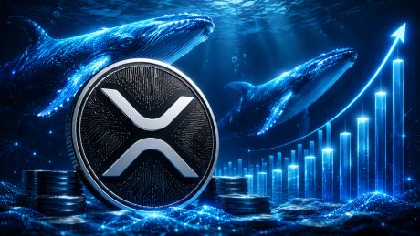 Los grandes poseedores de XRP alcanzan su nivel más alto en ocho años mientras el token roza $1.50