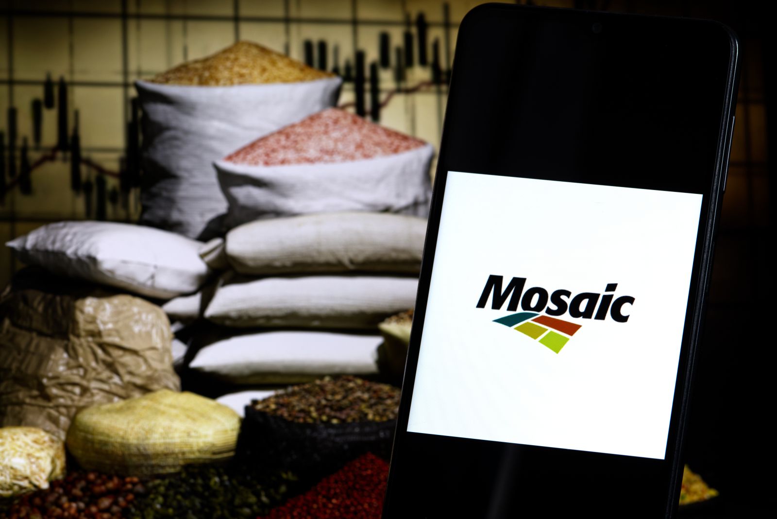 What Are Wall Street Analysts' Target Price for Mosaic Stock?