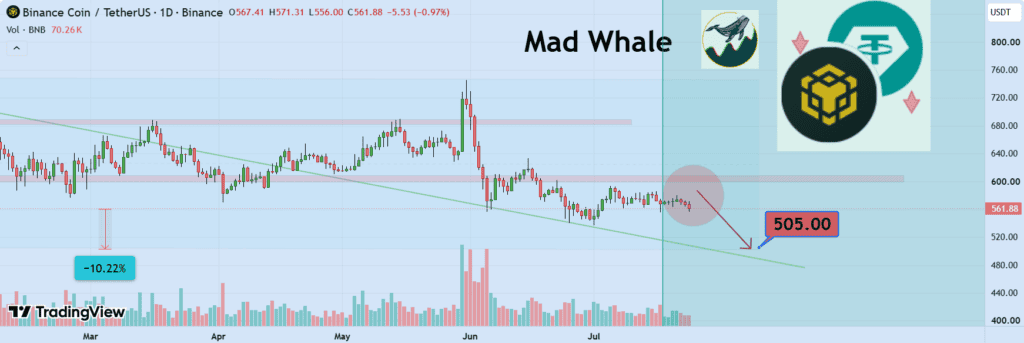 BNB could face a short-term decline of around 10%, potentially pushing its price toward the $500 level amid broader market weakness