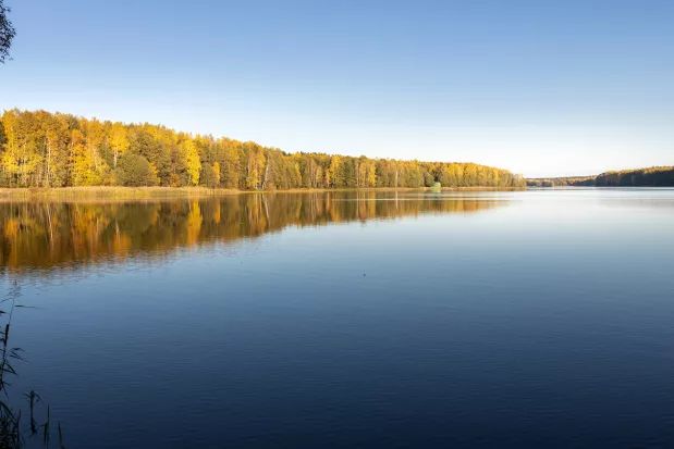 Still Waters Bring Mixed Pre-Market Levels
