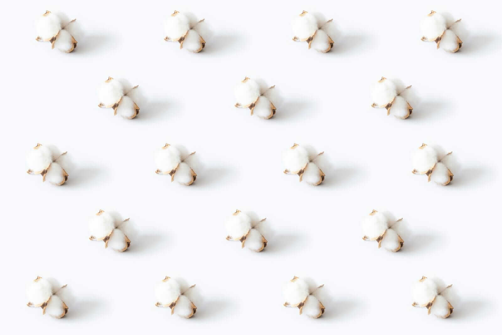 Cotton Rally Continuing on Friday Morning