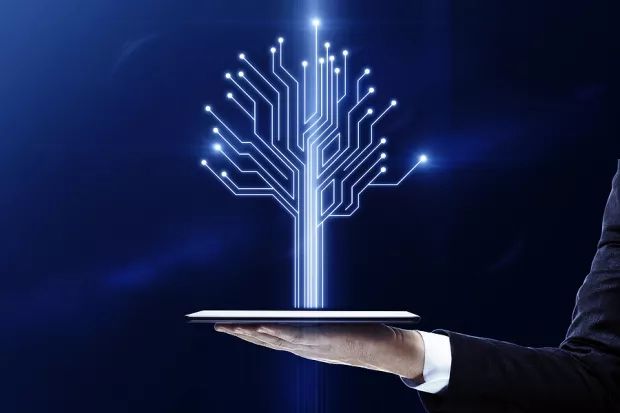 Bandwidth Surges 258% in the Past Year: Should You Buy the Stock?