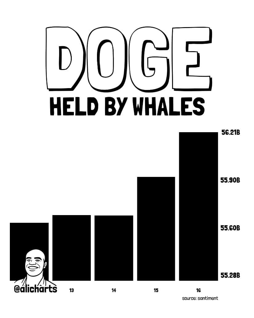 Whale Demand Builds Despite Spot Outflows