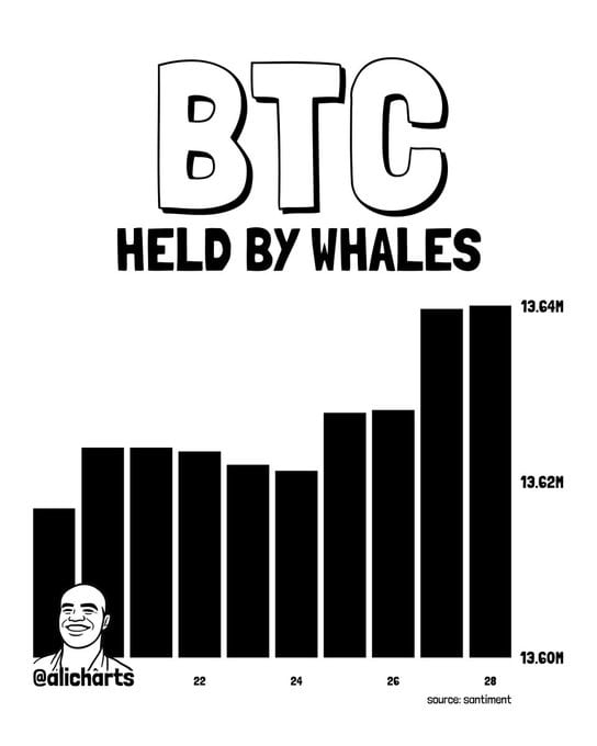 Bitcoin whales accumulated 29,075 BTC during the recent pullback
