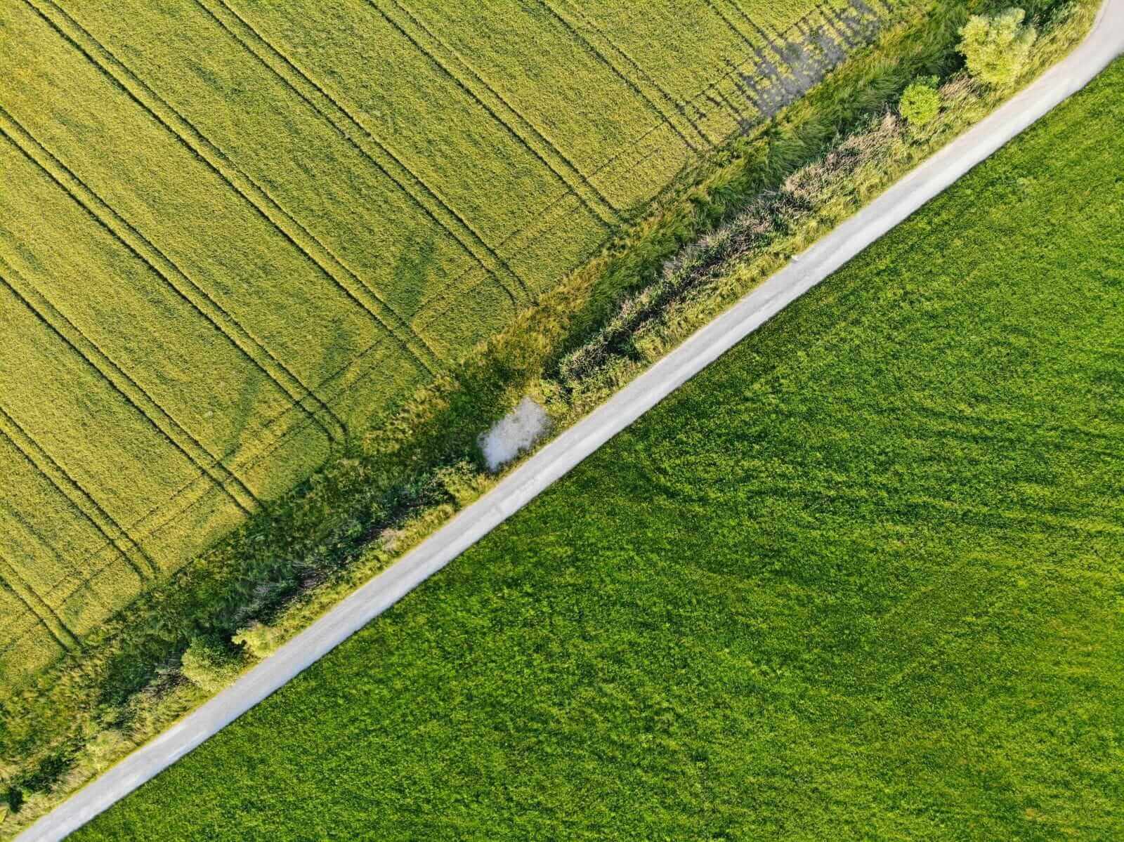 Petri Dish: Why AI Will Replace the Farmer