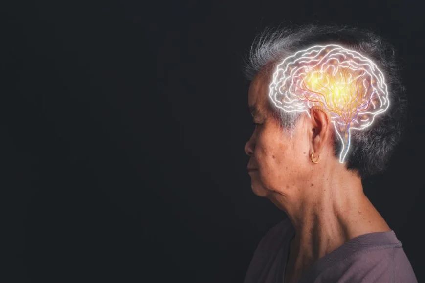 EXCLUSIVE: Alzamend Wraps Clinical Phase Of AL001 Study In Healthy Participants - Alzamend Neuro (NASDAQ:ALZN)
