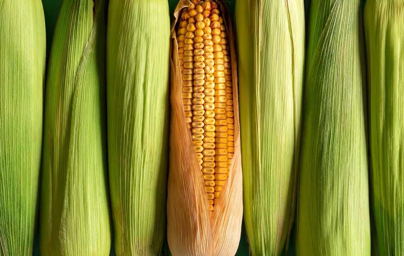 Wheat, Soybean, and Corn Prices Fall to Start a New Month. What to Watch Next.