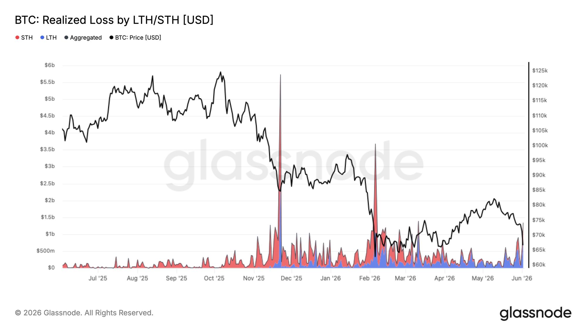 Bitcoin Realized Loss