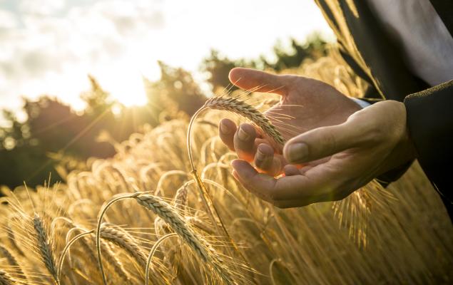 3 AgTech & Food Innovation Stocks Well-Placed for the Long Haul