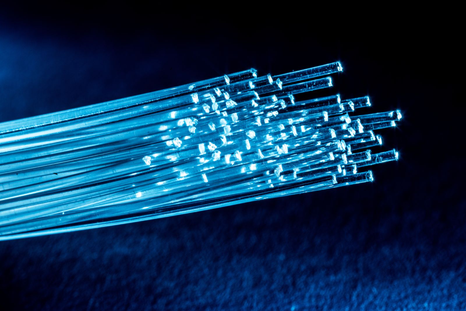 Is Ciena Stock Outperforming the S&P 500?