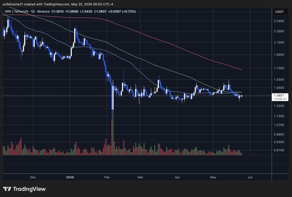 XRP consolidates around key resistance level | Source: XRPUSDT chart on TradingView