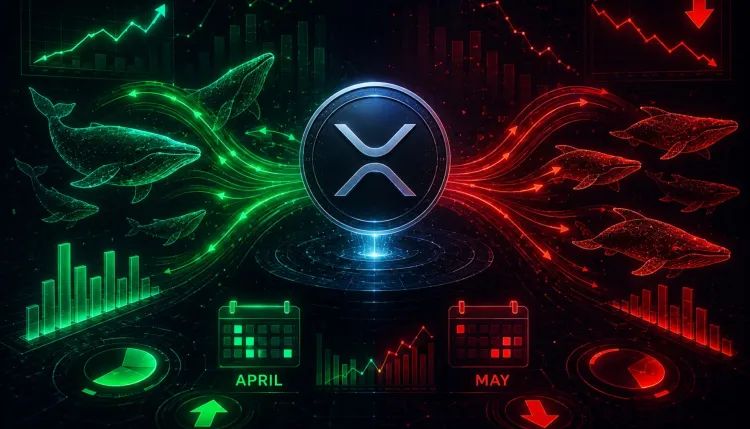 XRP’s Big Buyers Returned In April But left In May: Capital Inflows Data Explains The Shift
