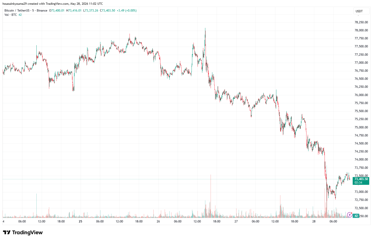 Bitcoin Price Chart