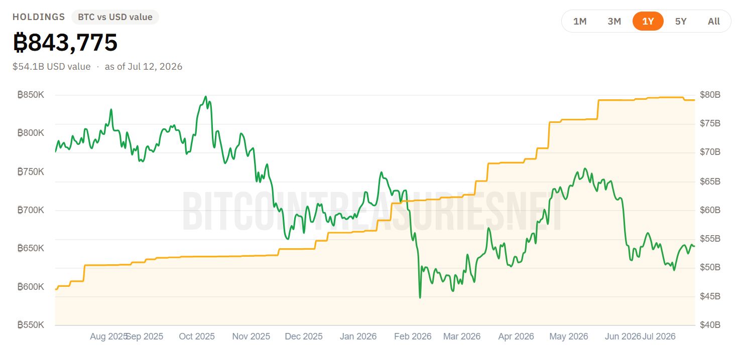 Доли биткоина у MicroStrategy. Источник: Bitcoin Treasuries
