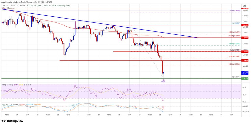 XRP Price 