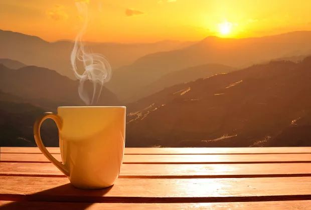 JVA Q2 Earnings Decline Y/Y as Lower Coffee Prices Hurt Sales
