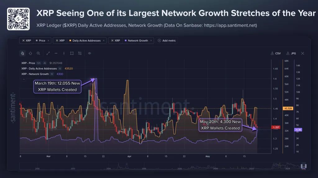 XRP daily created wallets 