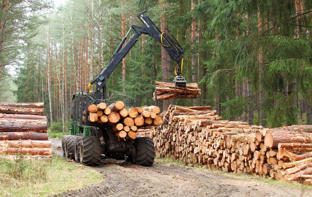 Weyerhaeuser Q2 Earnings & Sales Top, Adjusted EBITDA Down Y/Y