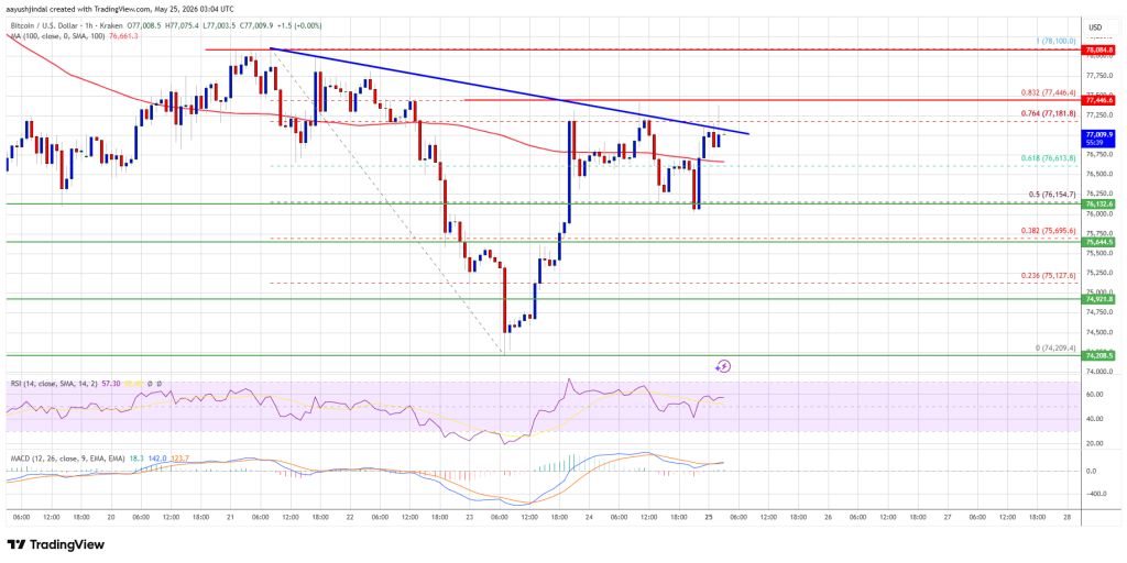 Bitcoin Price