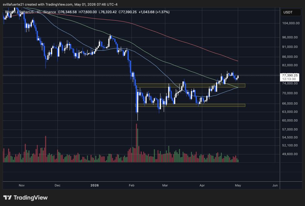 BTC consolidates below the $77K level | Source: BTCUSDT chart on TradingView