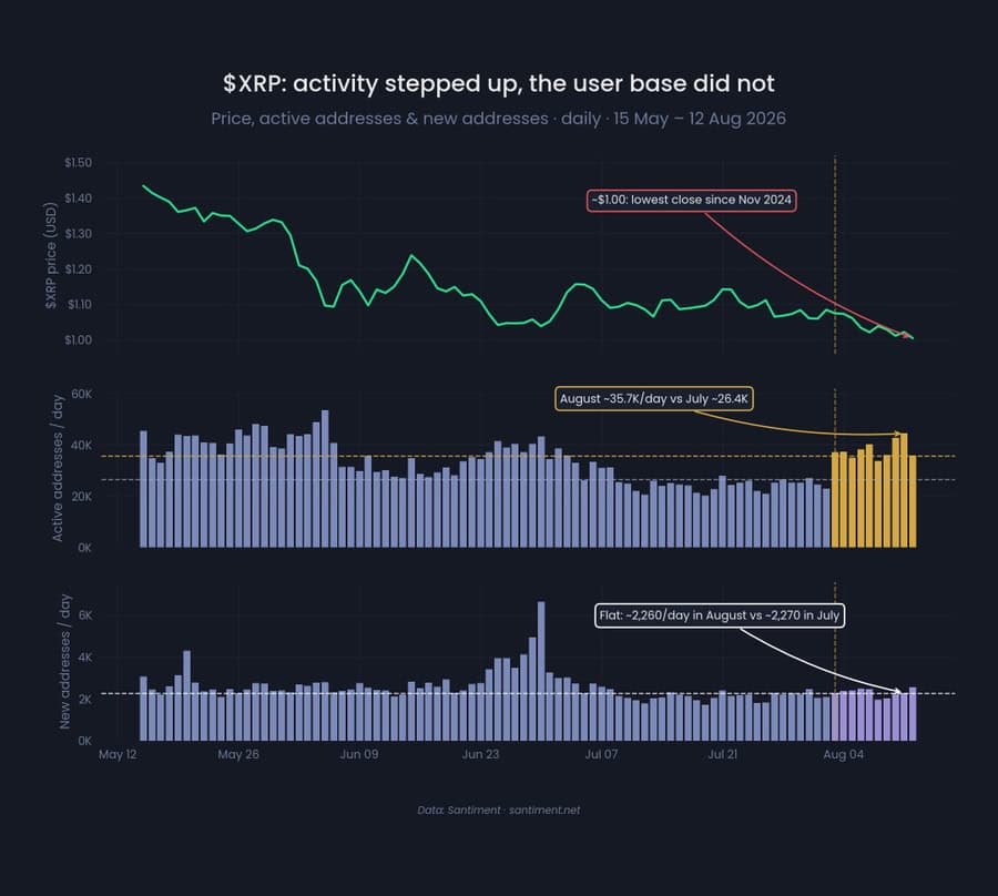 XRP’s on-chain activity strengthened in August, with daily active addresses averaging about 35,700 versus 26,400 in July