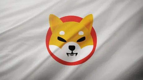 Caída del SHIB: Open Interest y Tasa de Quema en mínimos, señales bajistas para Shiba Inu