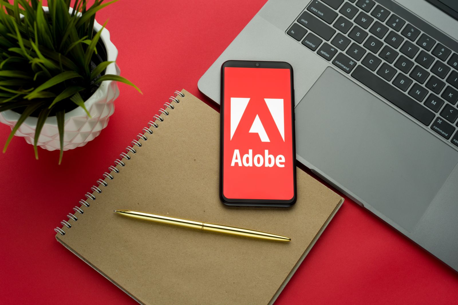 What Are Wall Street Analysts' Target Price for Adobe Stock?