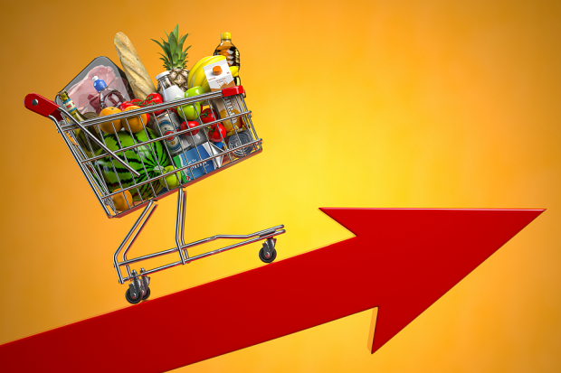 Mission Produce vs. Dole: Which Is the Smarter Fresh Produce Pick Now?