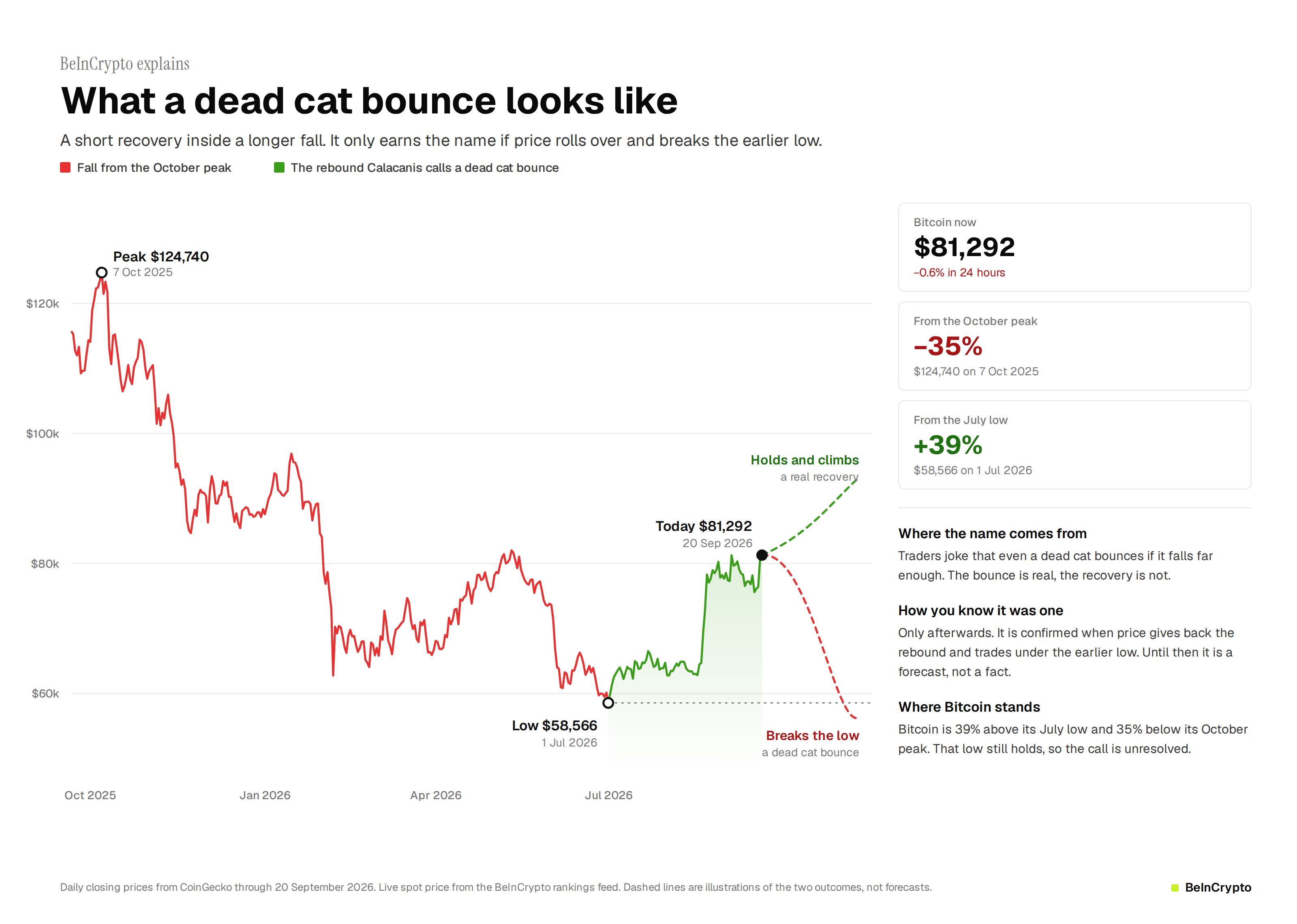 Dead Cat Bounce Illustration