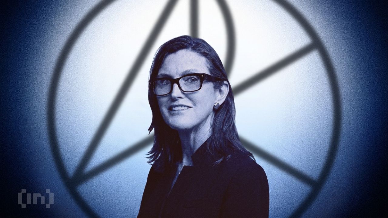 Cathie Wood 抄底 Circle 看好加密潜力