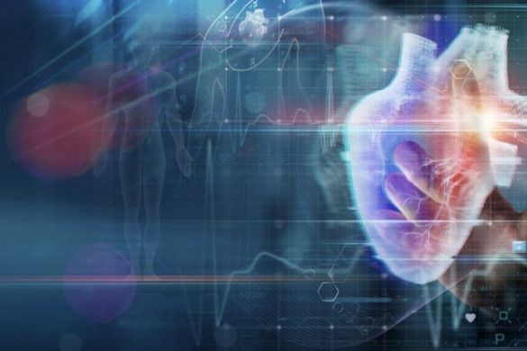 Cardio Diagnostics' AI-Powered Coronary Heart Disease Tests Get Medicare Reimbursement Pricing - Cardio Diagnostics Hldgs (NASDAQ:CDIO)