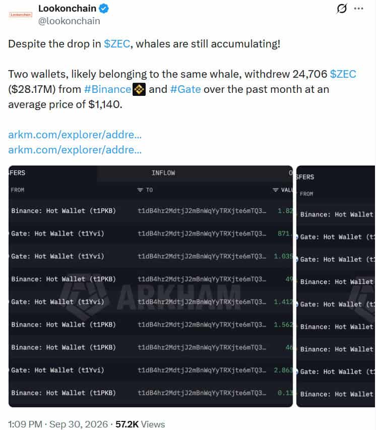 Zcash ZEC whale transaction chart