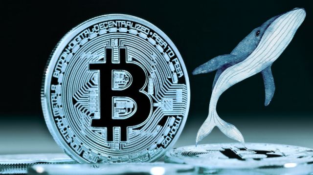 Prezzo di Bitcoin in Calo: “OG Whales” di BTC Vendono