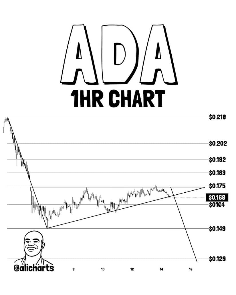 Contrary View: Flag Structure Still Carries Downside Risk