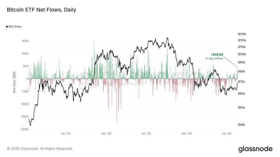 Bitcoin ETF Net Flows (daily) chart