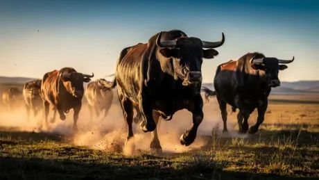 Bitcoin apunta a un salto monumental: Señal dorada del MVRV sugiere una nueva fase alcista