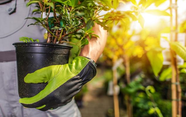 Is the Options Market Predicting a Spike in AGCO Stock?